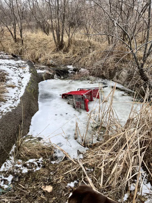 CALL AN AMBULANCE!!!