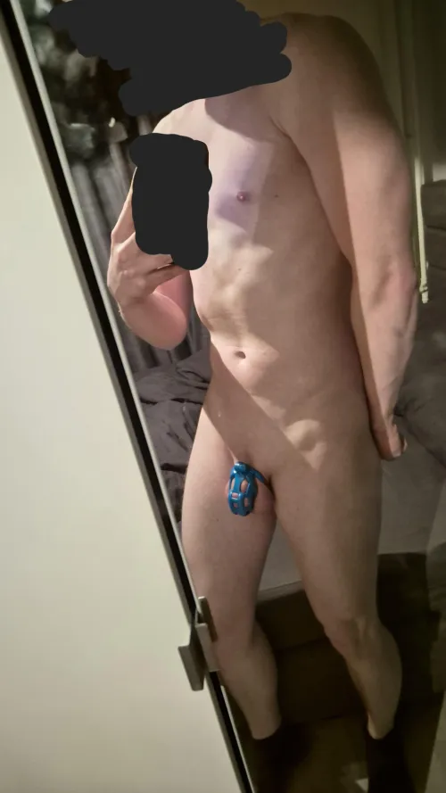 Day 2/21 of using chastity for gym motivation Just hit a really good chest day!