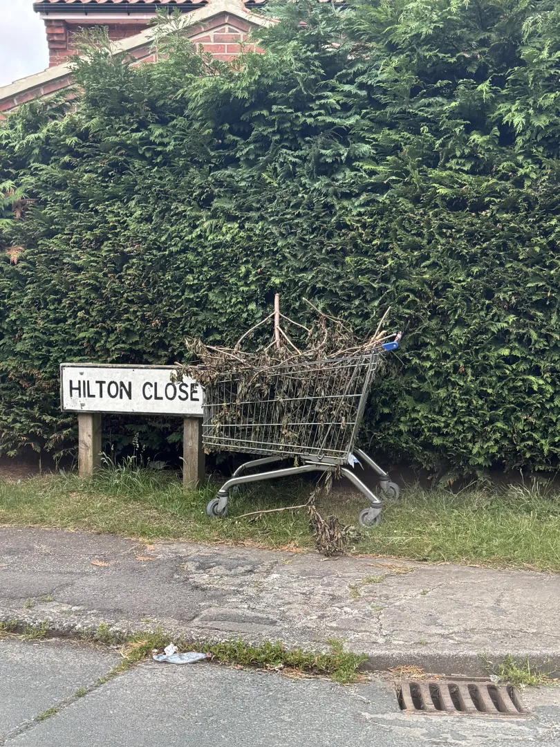 Hanging out on street corners with her bush out