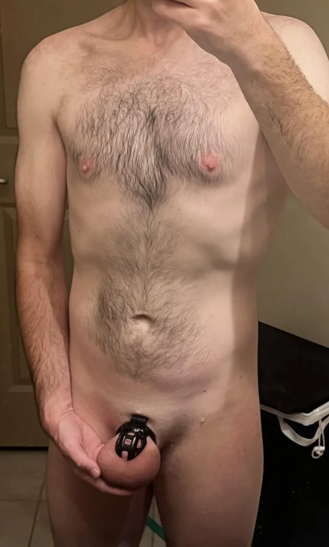 Swollen, heavy, denied balls