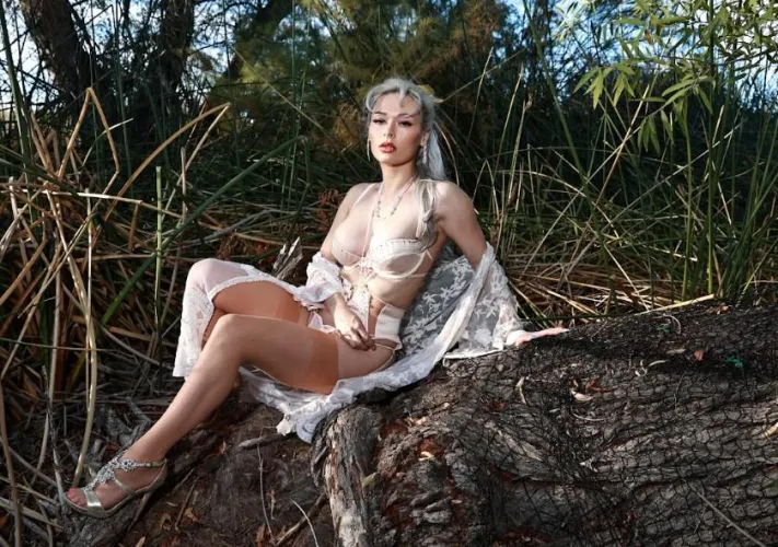 Taking your dog a walk and this is what you see, wyd?