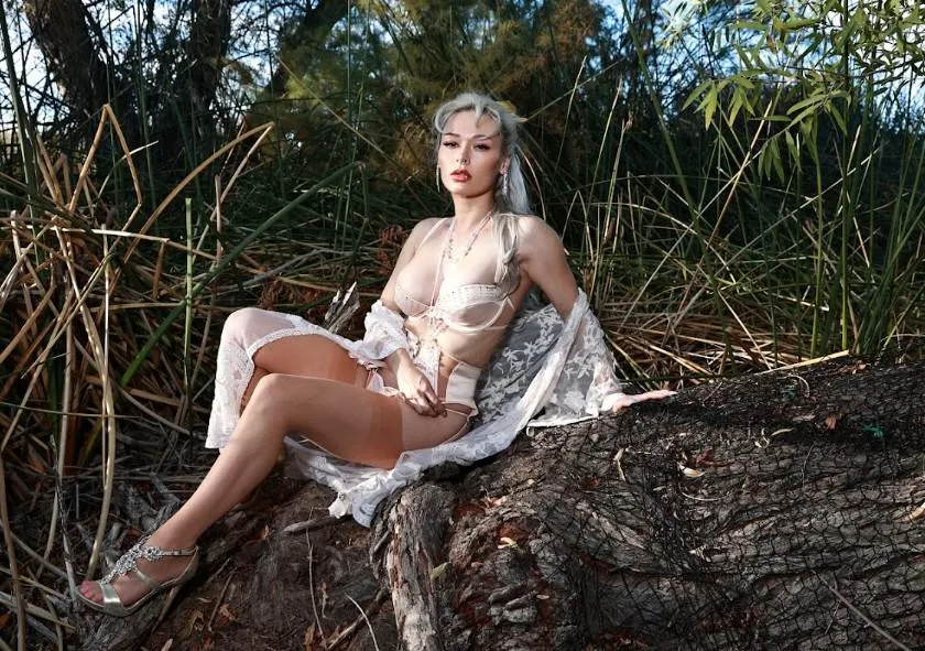 Taking your dog a walk and this is what you see, wyd?