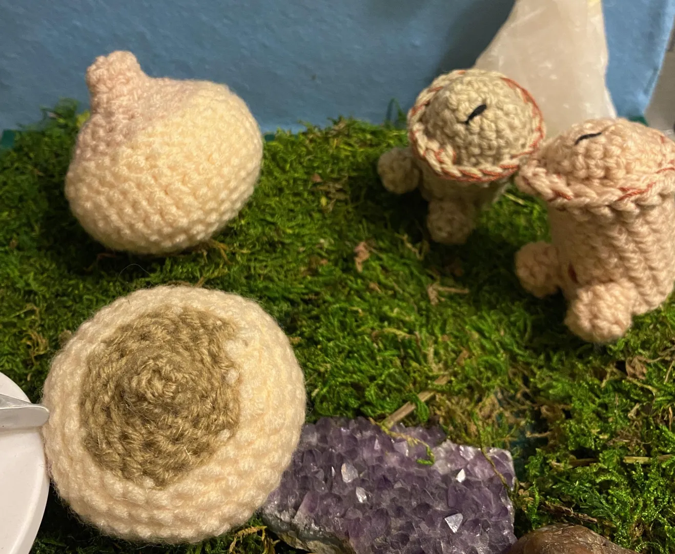 Tiddies and chodes meeting