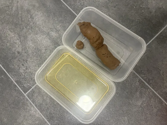 (Uk) your next meal is served. Scat tub or vac sealed. Discreet shipping to lockers or Royal mail next day delivery include video