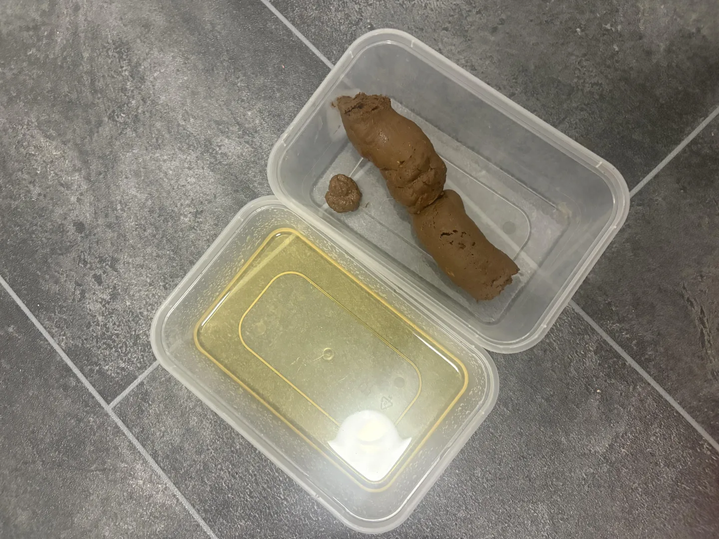 (Uk) your next meal is served. Scat tub or vac sealed. Discreet shipping to lockers or Royal mail next day delivery include video