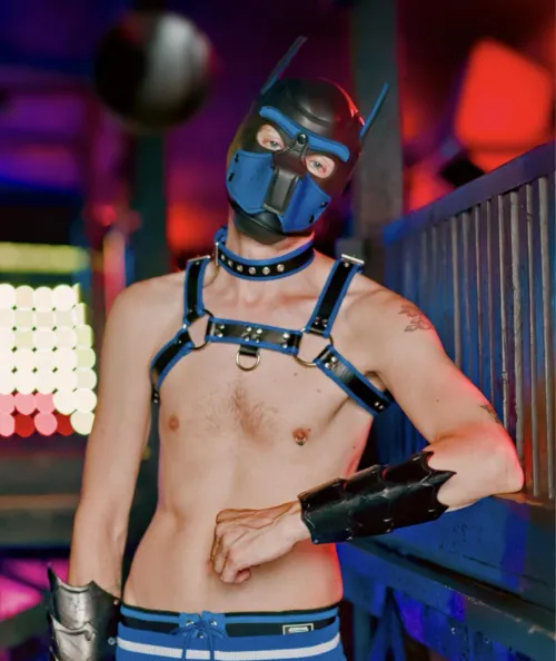 Craving some puppy cuddles