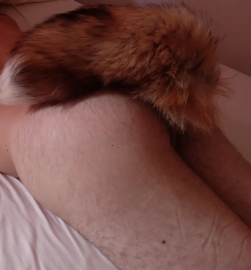 Feeling cute, fluffy and horny 