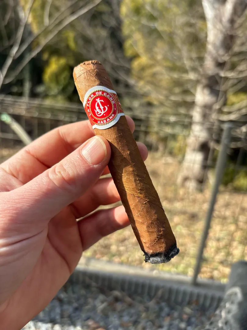 Flor de Cano Elegidos