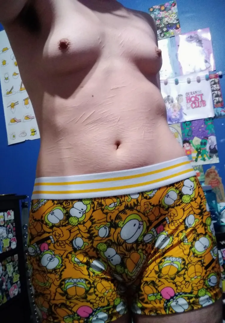 [ftm19] garfield undies 