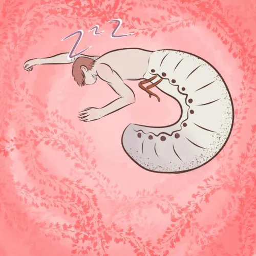 My boy Helix taking a nap.