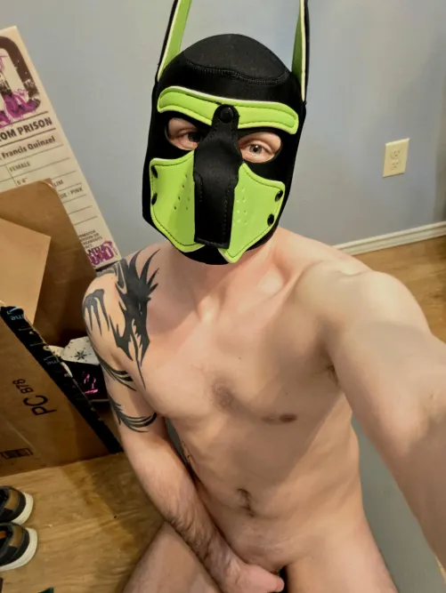 My first mask, am I good boy?