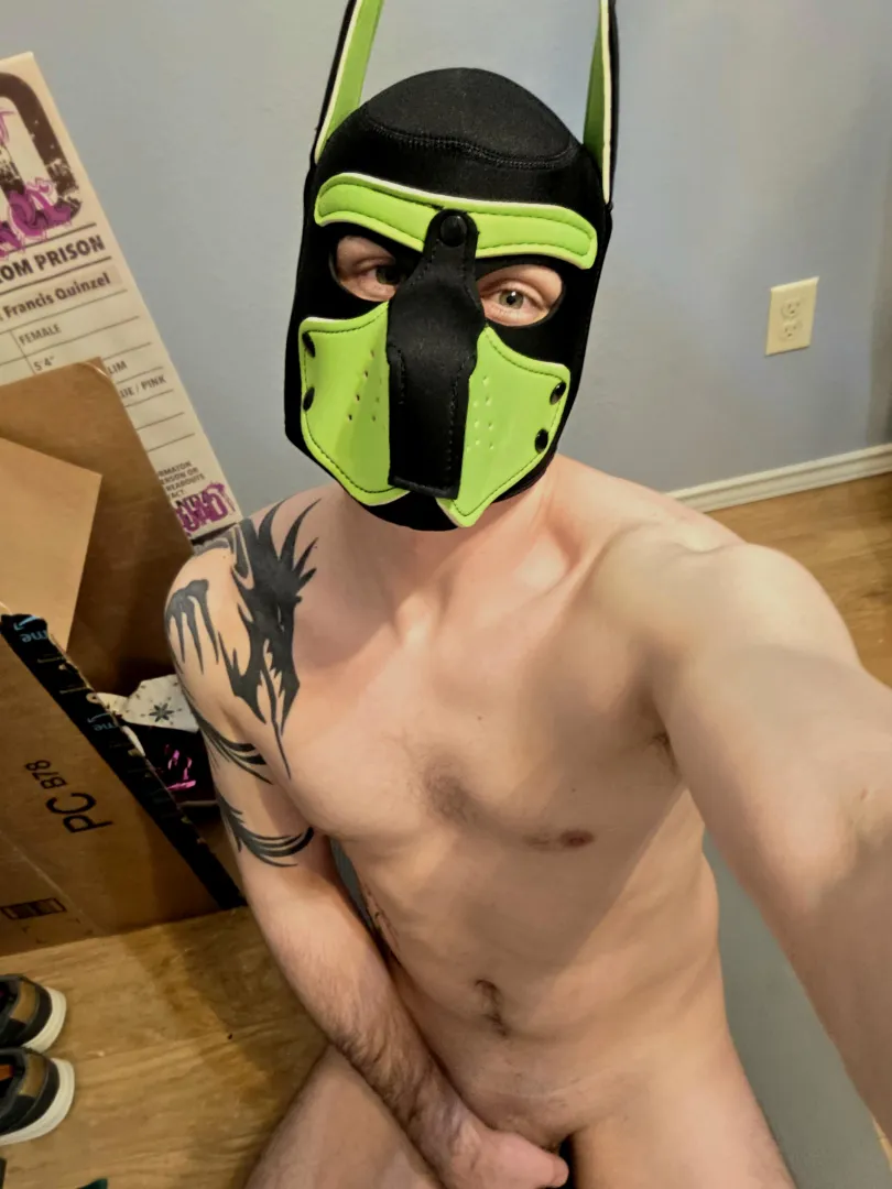 My first mask, am I good boy?