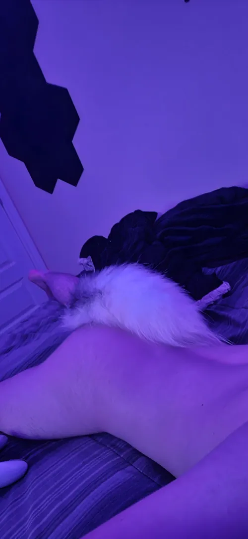 Nothing better than relaxing with your little fox tail ‍↔️