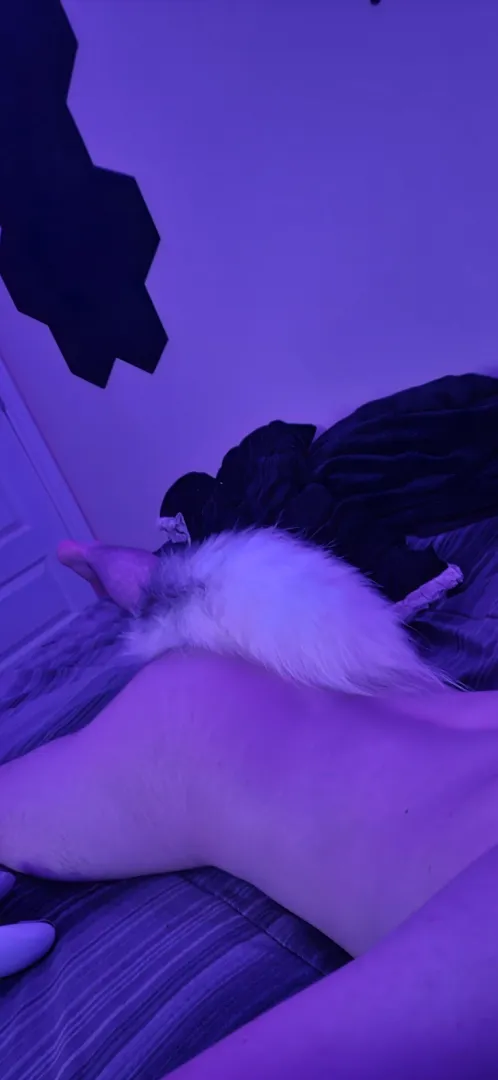 Nothing better than relaxing with your little fox tail ‍↔️
