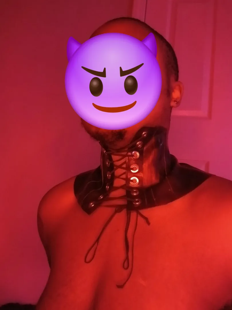 Showing off my new collar