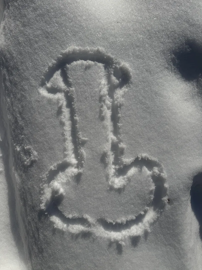 Want to build a Snowman? Your husband can watch.