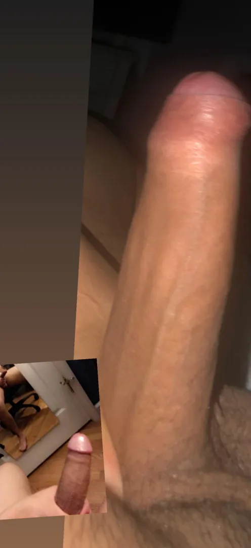 Would you suck my dick ?