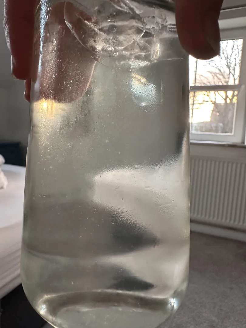 A nice glass of pee + lemonade