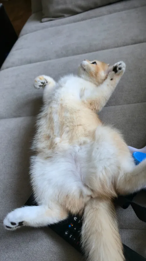 Better hurry, the [f]ood is burning