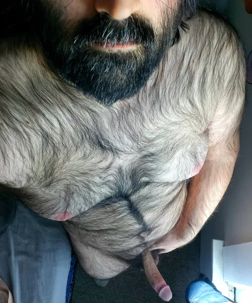 Big furry bear beard and boner ;) [35]