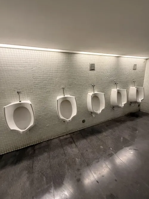 Bus train terminal Oriente - Portugal