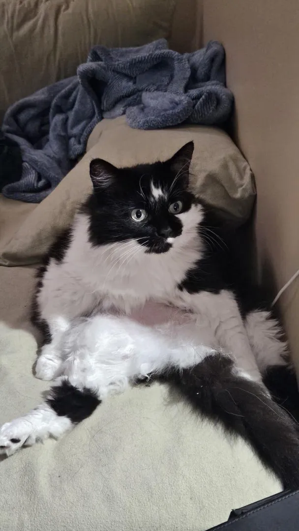 Caught her mid session [F]