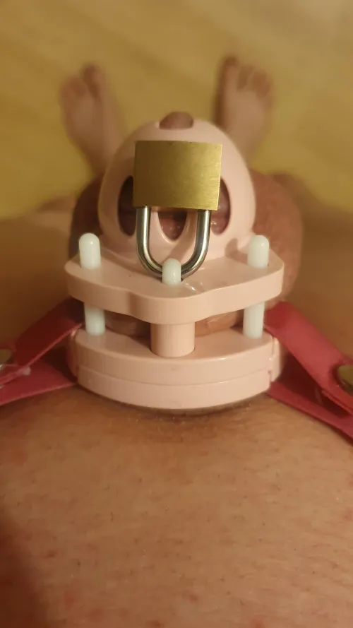 Down To A Micro Cage