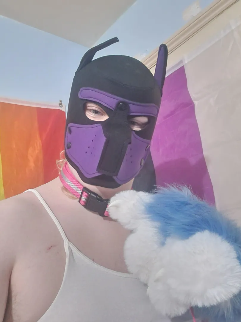 How do yall feel about chubby non binary pups~?