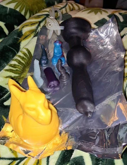 Newest purchases have arrived