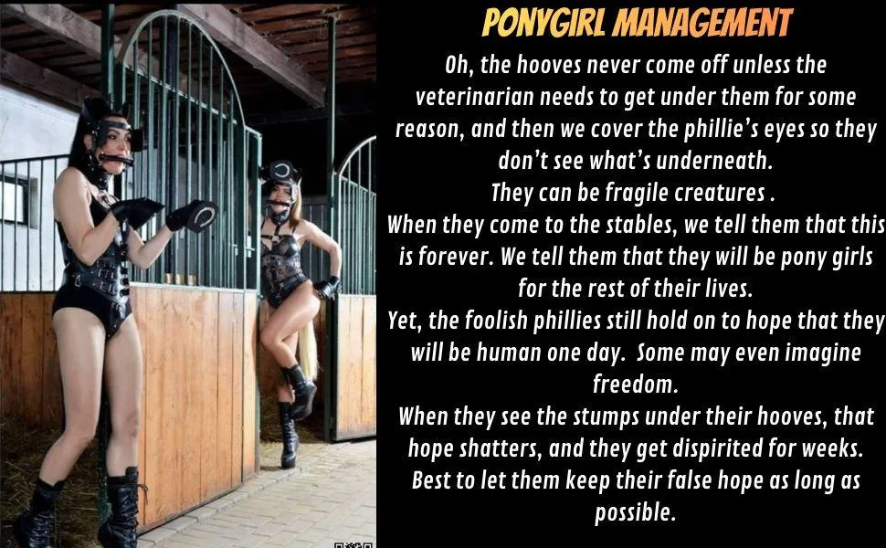 Ponygirl psychology in Philly management