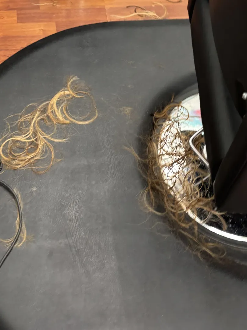 Said bye to several inches today 