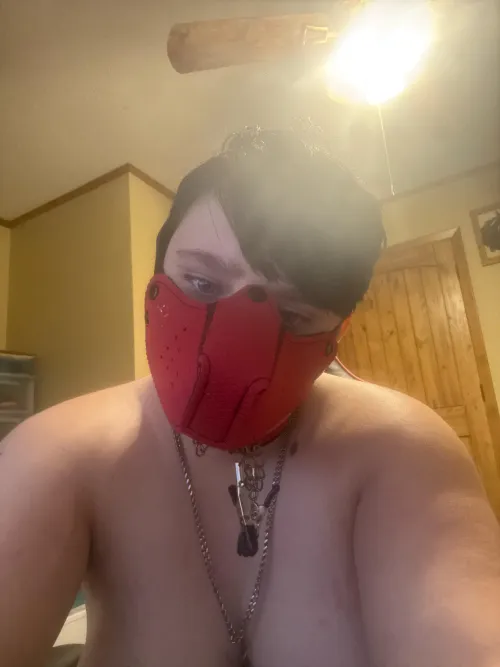 Sleepy pup in the mood