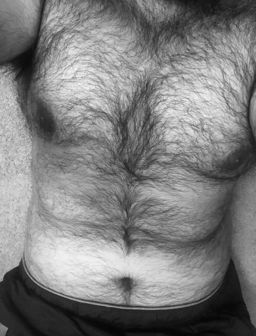 Someone told me I’m a bear! Is it true?