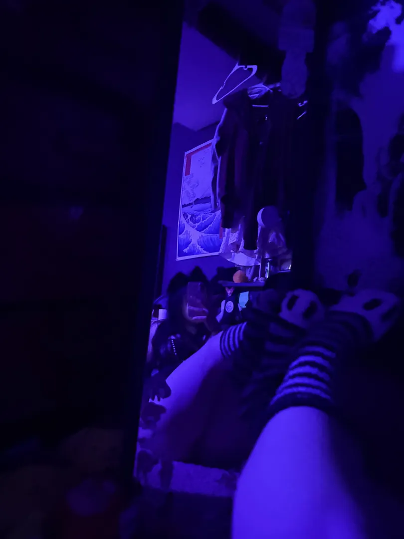 where would you pet this puppy first?