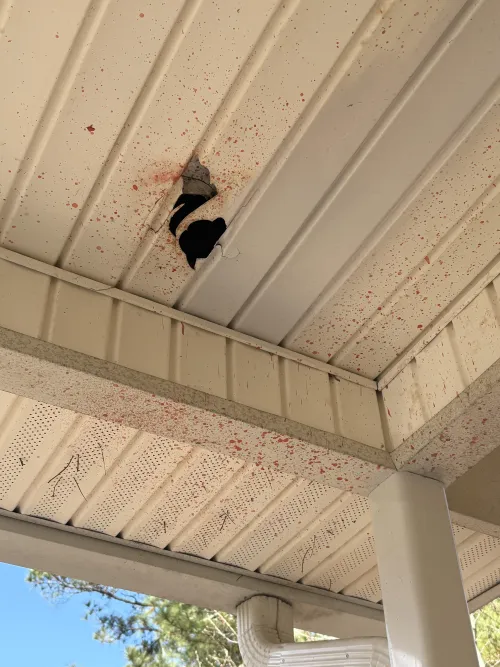 Asking the experts..Do you think this is blood?