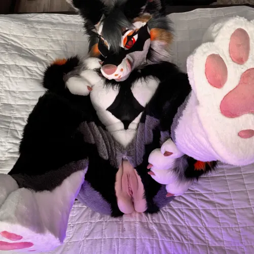 Be honest, would you breed me in my fursuit? ~