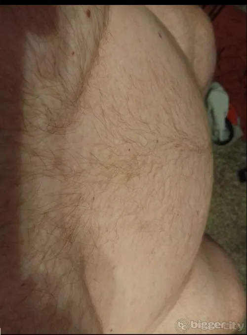 bear boobs and belly 55