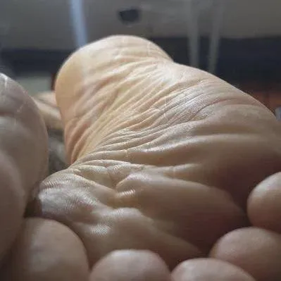 I know you want to lick and sniff