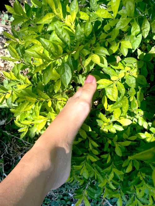 I'm a new creator, what do you think?