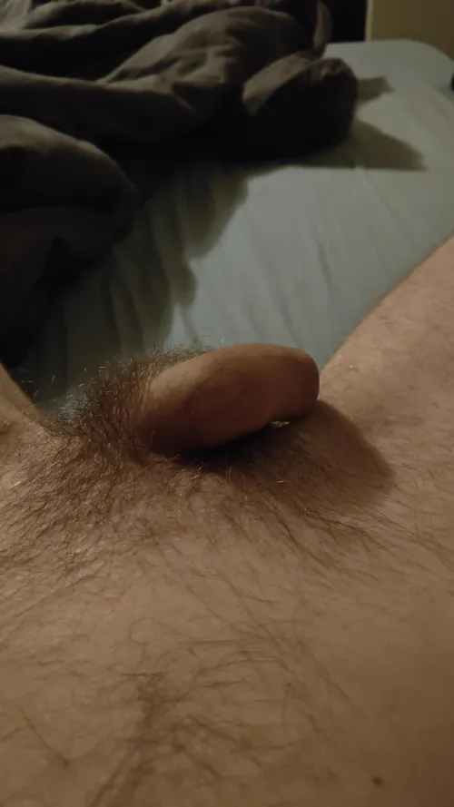 M 26 søger ældre mænd 40+ at snappe med!