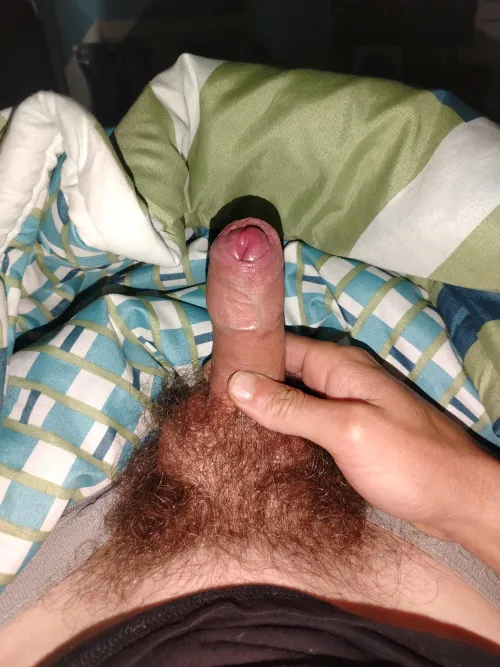 M27 looking for white Female in Roodepoort