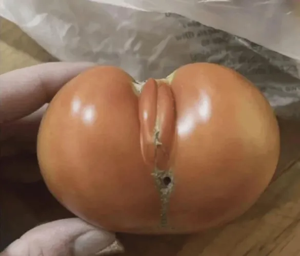 Men when they say everything reminds me of her