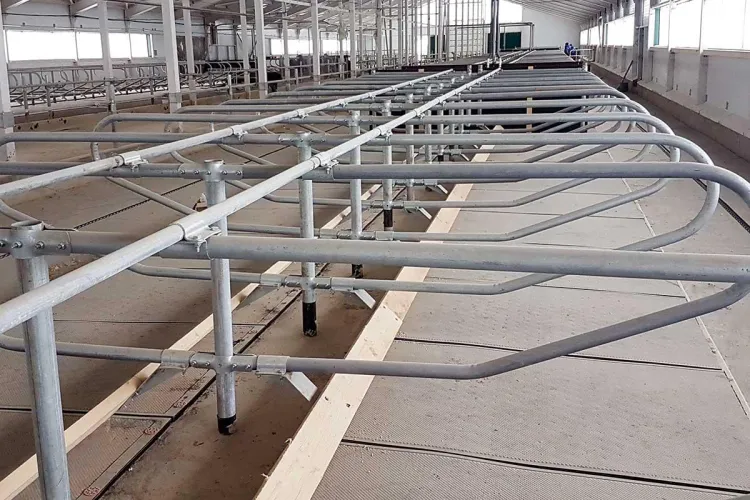 Who would really want to come to a farm among cows, be milked, and live like a cow for several days or weeks?