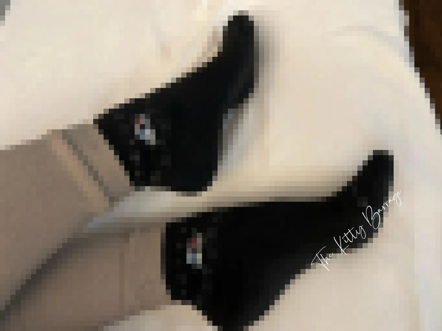 Enjoying my holiday break with some cozy thick wool socks 