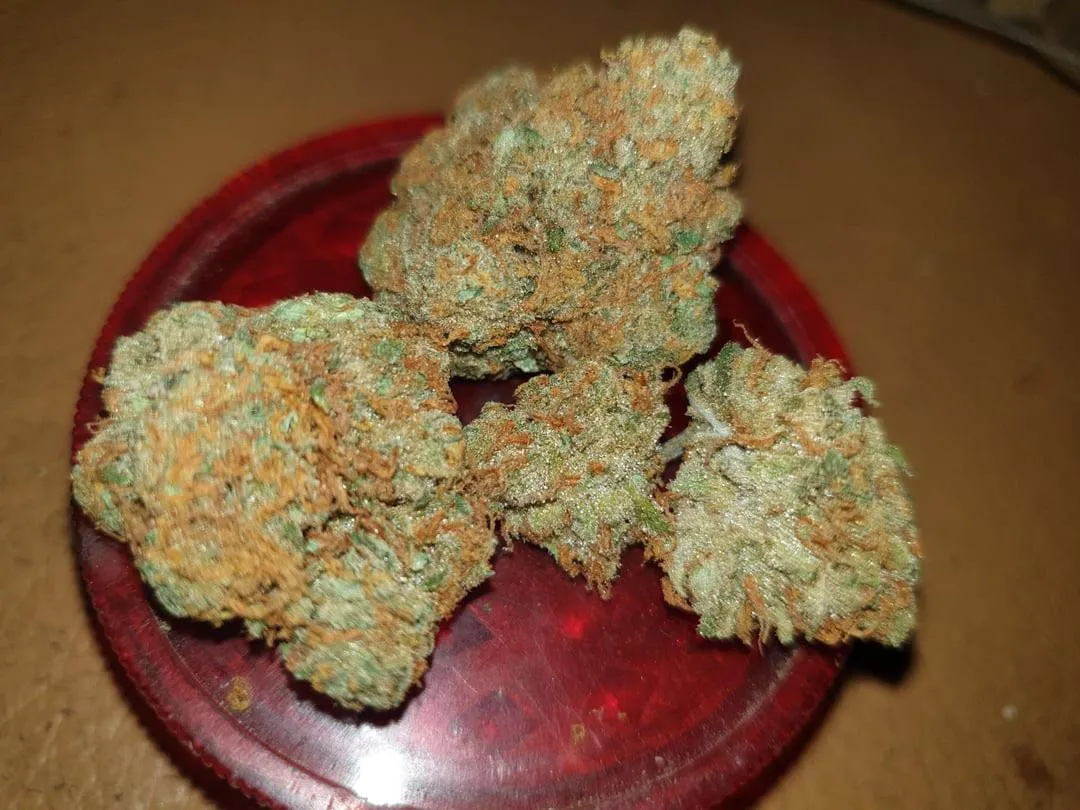 Peanut Butter Breath