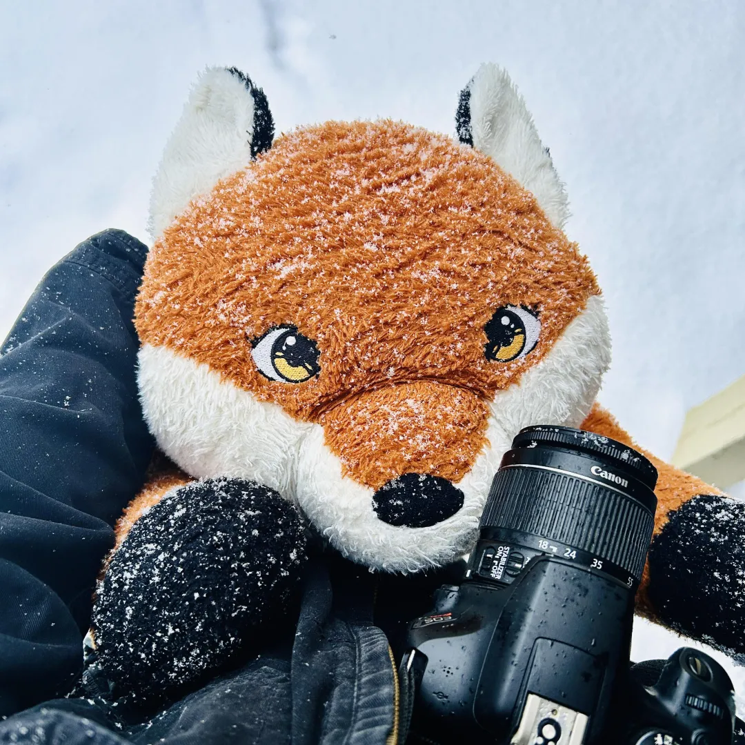 [Snuggle Saturday] Autumn’s first snow day!