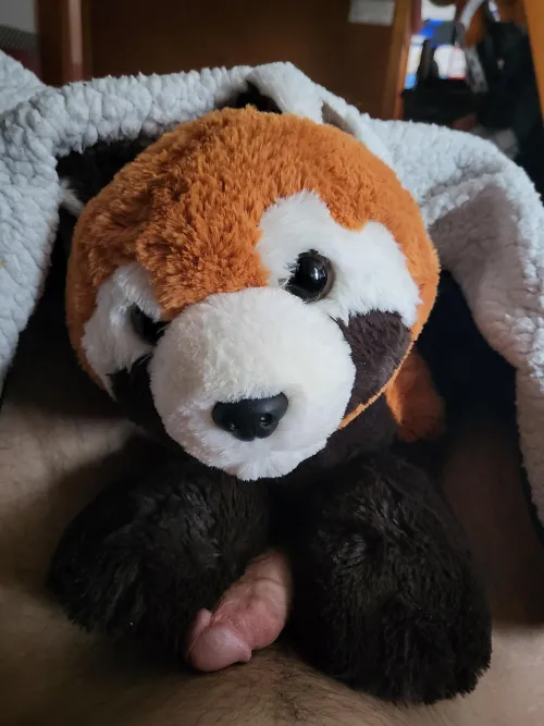 Someone claimed there territory. This morning