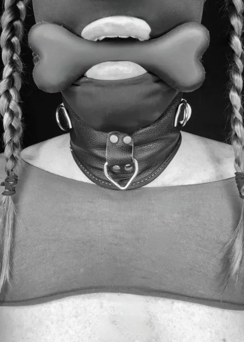 Today is bone gag day to remind me I am an obedient and submissive anal pet slave.