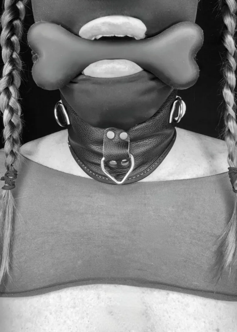 Today is bone gag day to remind me I am an obedient and submissive anal pet slave.