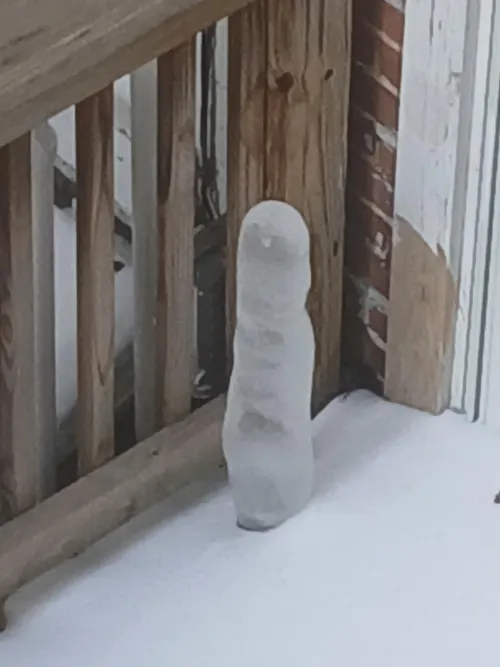 Anyone crazy enough?